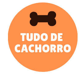 Tudo de Cachorro